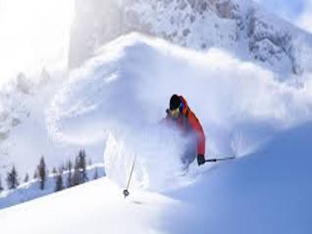 img Serre Che HIVER 4